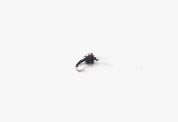Disco Midge