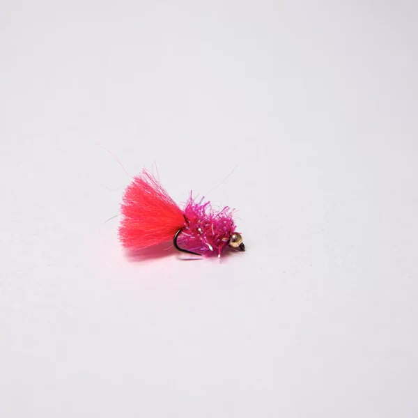 Gold tungsten cactus pink nymph (price for 12 flies)