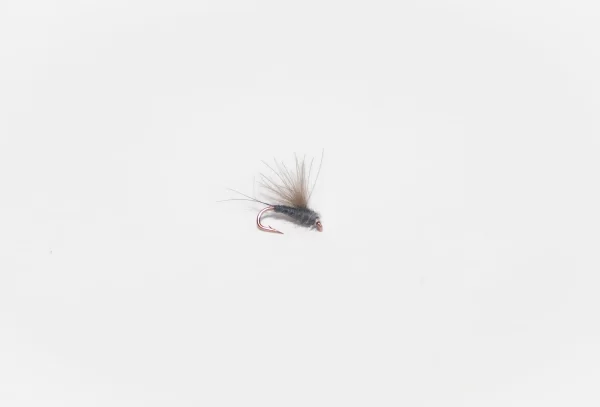RS2 Gray Dry Fly (price for 12 flies)