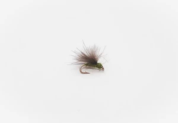RS2 olive Dry Fly (price for 12 flies)