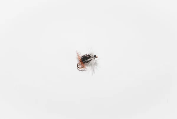 Renegade wet fly (price for 12 flies)