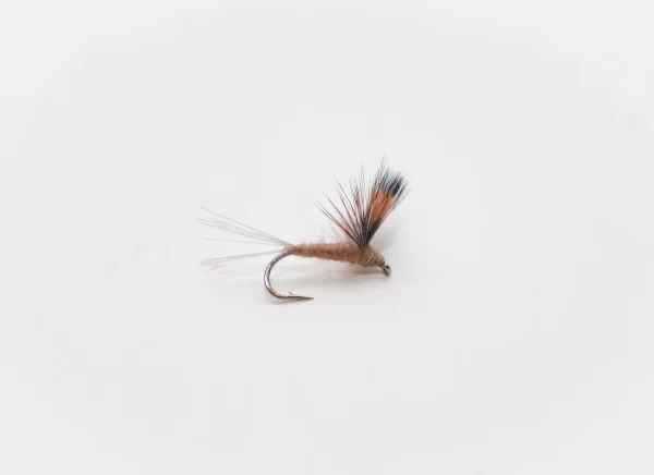 compara dun brown (price for 12 flies)