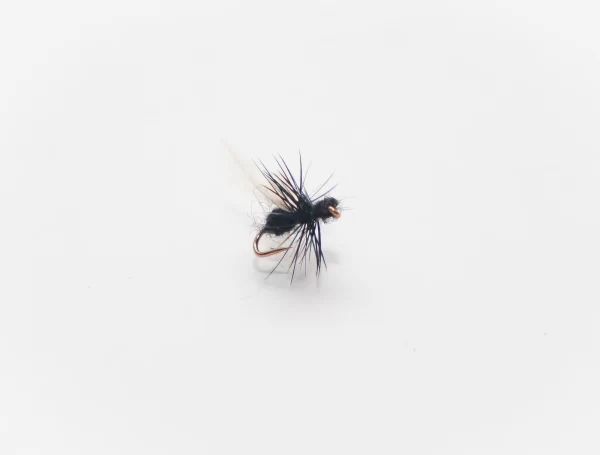 flying ant terrestrial Black (price for 12 flies)
