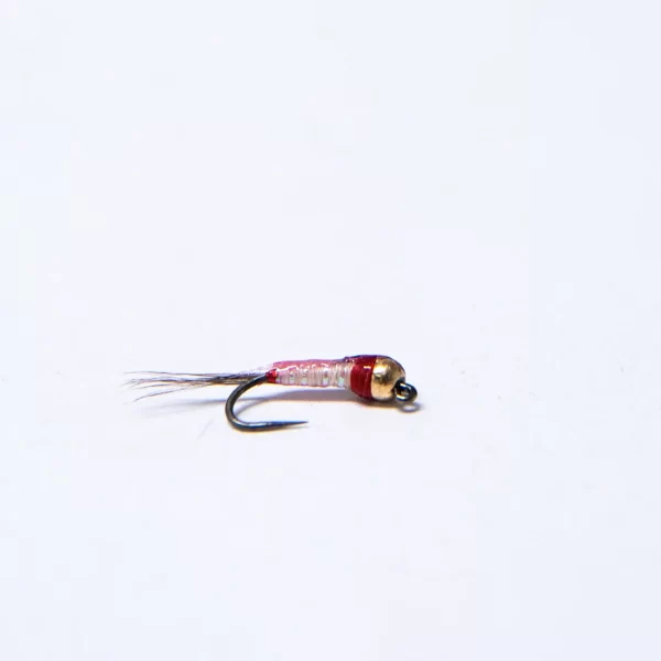 white euro jig with gold tungsten (price for 12 flies)