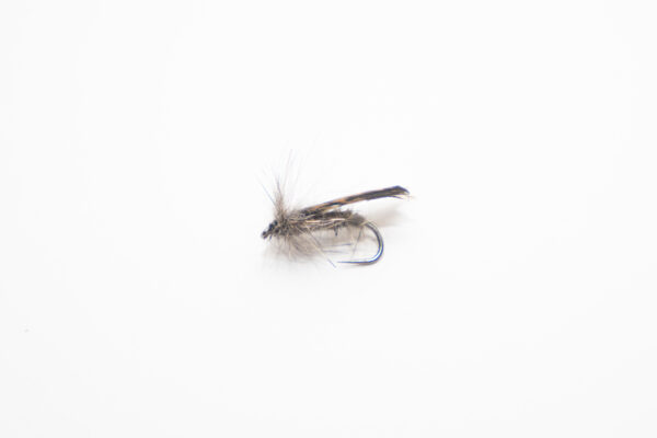 Sedge (prix pour 12 mouches)