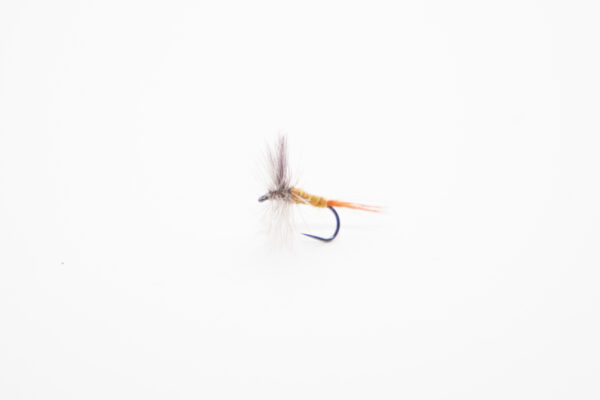 Mouche sèche (prix pour 12 mouches)