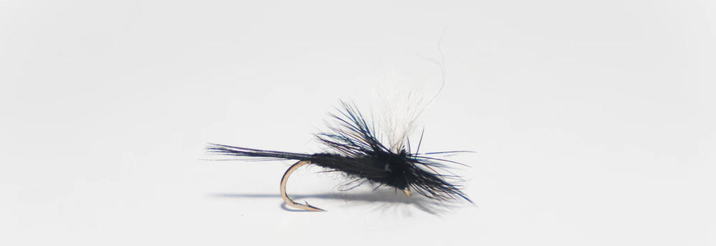 TYING & Fishing the Black Gnat Dry Fly