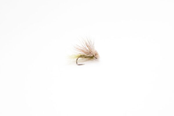 X Caddis dry fly olive (price for 12 flies)
