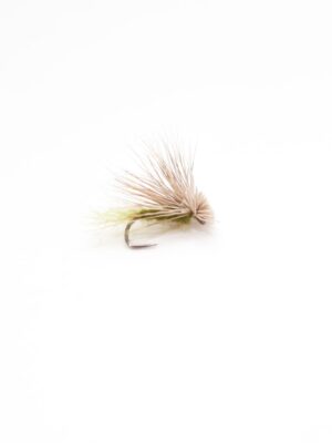 X Caddis dry fly olive (price for 12 flies)
