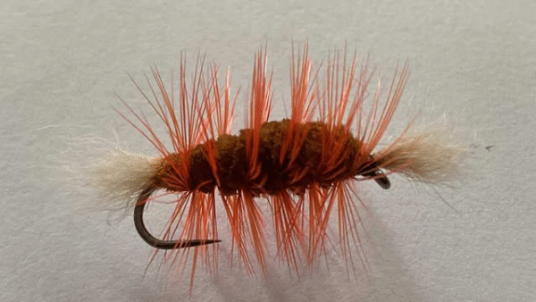 Brown Bomber  (price for 12 flies)